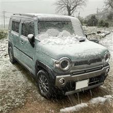 11月１８日朝の雪