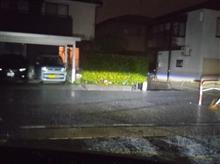 白くなった😲