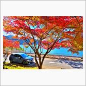 紅葉ドライブ2023第八弾　 ...