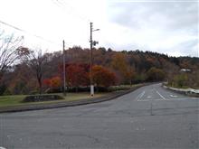 紅葉の終わりに２