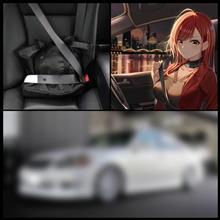 231119-6　後部座席も･･･