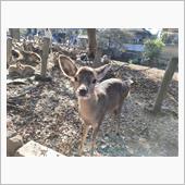 若草山へ