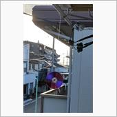 どうも雀の群れが毎朝家に来て ...
