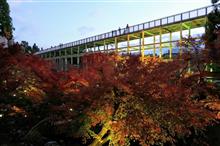 正法寺・水景園（2023年・紅葉）