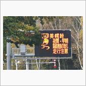 東北・北海道紅葉巡り⑦　苫小 ...