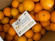 みかん🍊
