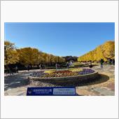 紅葉を見に・・・