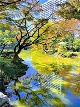 東京・日比谷公園　～都会のオアシスの秋散歩～　してきました