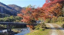 紅葉の夏井川渓谷と木橋