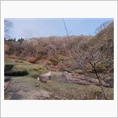 氷ノ山へ