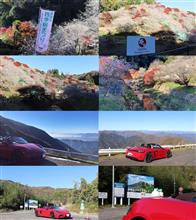 718　GTS4.0　オープンドライブ（小原の四季桜・伊吹山ドライブウェイ）