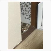 改めてリストにするとなかなか ...