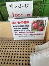 はぁあ〜るばる来たぜぇっ信州ぅ〜⁉️その4 はぁあ〜るばる来たぜぇっ信州ぅ〜⁉️その4