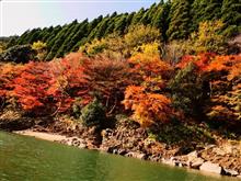 🏞️ 🍁🚂秋の風物詩巡りNo.9『京都放浪記 其のニ トロッコ列車&保津川下り編』🚂🍁 🏞️ 🏞️ 🍁🚂秋の風物詩巡りNo.9『京都放浪記 其のニ トロッコ列車&保津川下り編』🚂🍁 🏞️