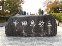 静岡県浜松市中田島砂丘と龍潭寺、井伊谷宮