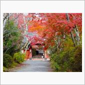 常照寺に行きました！　～20 ...