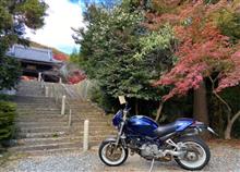実家-呑吐ダム-自宅-さくら茶屋-MotoMassimo 実家-呑吐ダム-自宅-さくら茶屋-MotoMassimo