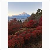 今日の富士山（2023112 ...