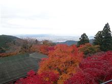 散歩記録）冬の大山詣りで・・・・！？