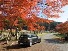 朝市とプチ紅葉狩り 