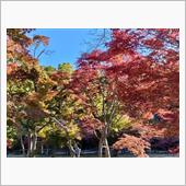 岡山城とお好み焼き