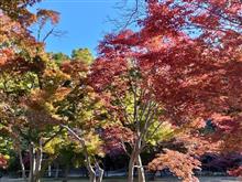 岡山城とお好み焼き