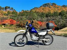 紅葉🍁を見に