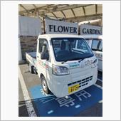 本日のレンタカー