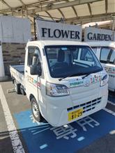 本日のレンタカー