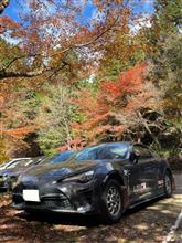 大矢田神社もみじ谷🍁