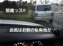 231128-6　邪魔だぜ!!