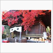 所沢 多聞院の紅葉