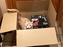 Amazonのブラックフライデー！