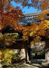 西明寺さんに苔と紅葉