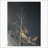 今日もお疲れ様でした🙇‍♀️