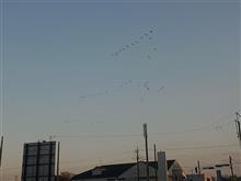 へんたいか へんたいか