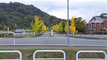 隣の市。