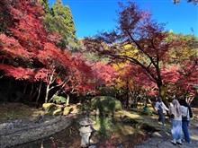 紅葉狩りドライブ2023 紅葉狩りドライブ2023