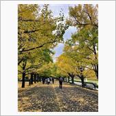 立川 昭和記念公園に行ってき ...