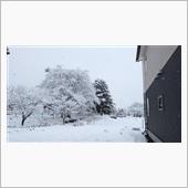 雪景色