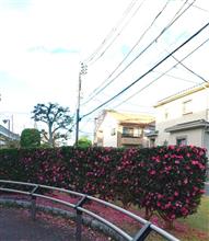おはようございます♪寒い朝です！