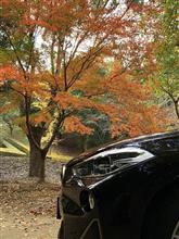 BMWの車検が高いってホント？