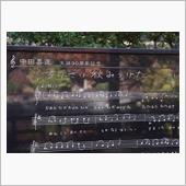 井の頭公園の紅葉