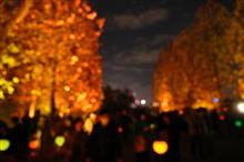 NAKED 紅葉の新宿御苑 2023 NAKED 紅葉の新宿御苑 2023