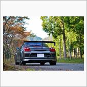 10月下旬　から、約１か月半…