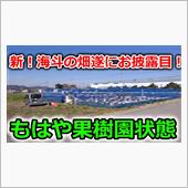 新しくなった海斗の畑を遂に紹 ...