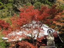 今日のドライブ♪（房総紅葉🍁ドライブ）