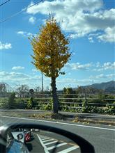 平日朝からドライブ