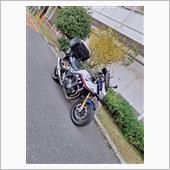 大型リアバッグ、取り付けまし ...
