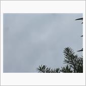 曇り☁️
